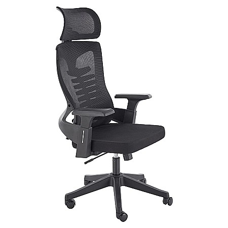 Scaun birou ergonomic HM Polon, mesh, mecanism inclinare, baza polipropilena, suport lombar, tetiera, 100 kg, negru [10]