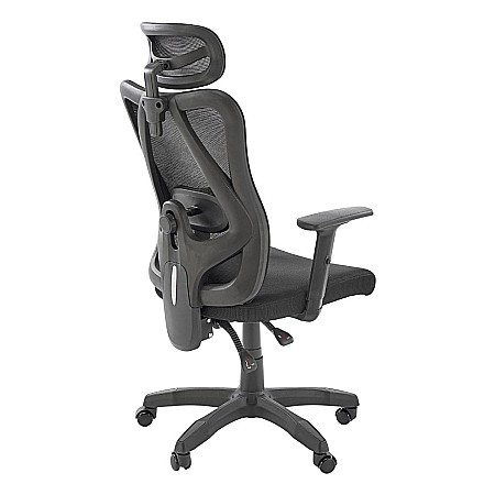 Scaun birou ergonomic HM Ramos, mesh, mecanism multiblock, baza polipropilena, suport lombar reglabil, cotiere ajustabile, 120 kg, negru [1]