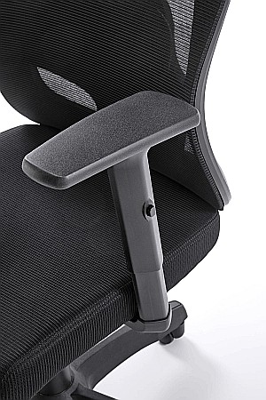 Scaun birou ergonomic HM Ramos, mesh, mecanism multiblock, baza polipropilena, suport lombar reglabil, cotiere ajustabile, 120 kg, negru [8]