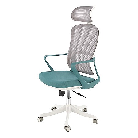 Scaun birou ergonomic HM Vesuvio 2, mesh, mecanism balans, baza polipropilena, suport lombar, tetiera reglabila, 120 kg, turcoaz/gri/alb [4]