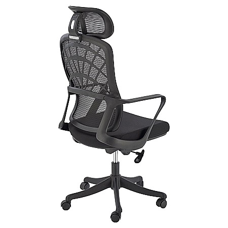 Scaun birou ergonomic HM Vesuvio, mesh, mecanism balans, baza polipropilena, suport lombar, tetiera ajustabila,120 kg, negru [1]