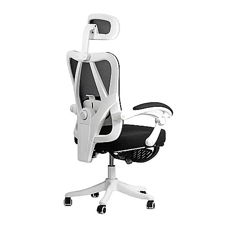 Scaun birou ergonomic OFF 428, mesh, suport lombar, tetiera, mecanism multiblock, suport picioare, 100 kg [1]