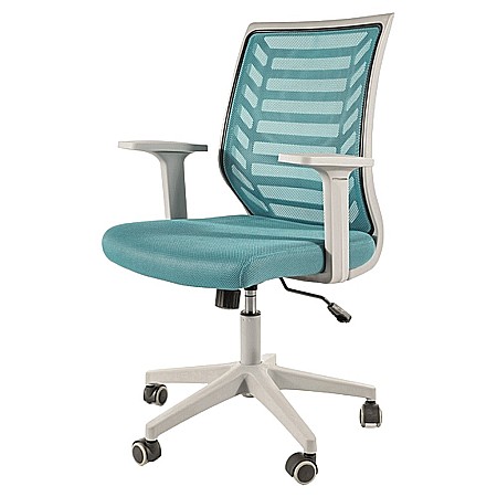 Scaun birou ergonomic SL Q320, mesh, mecanism inclinare, baza polipropilena, suport lombar, roti cauciucate, 90 kg, albastru/gri [10]