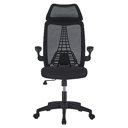 Scaun de birou ergonomic AB518, mesh, suport lombar, inaltime ajustabila, 90 kg, negru [4]