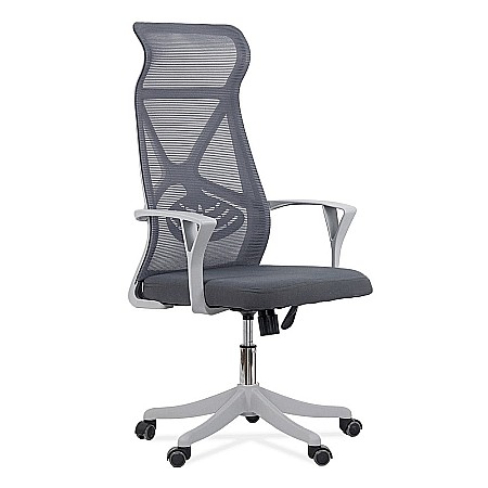 Scaun de birou ergonomic OFF 431, mesh, suport lombar, mecanism de inclinare, roti gumate, cadru polipropilena, 100 kg [1]