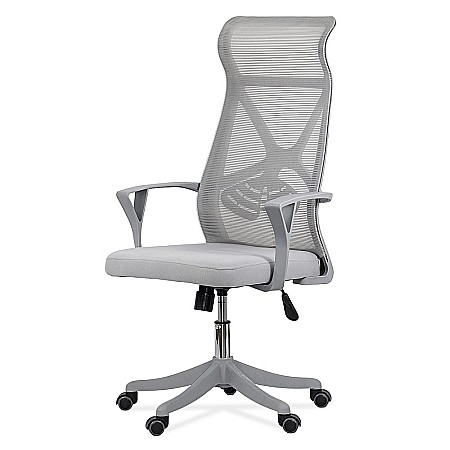 Scaun de birou ergonomic OFF 431, mesh, suport lombar, mecanism de inclinare, roti gumate, cadru polipropilena, 100 kg [1]