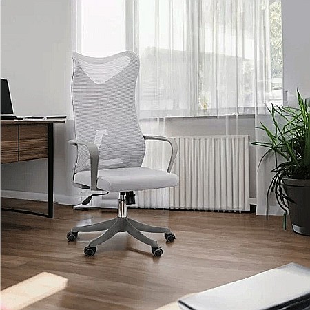 Scaun de birou ergonomic OFF 634, mesh, suport lombar, rotire  360°, mecanism de balans, 100 kg [6]