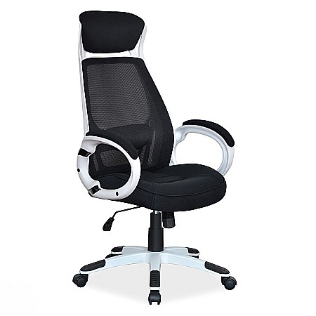 Scaune cu mesh - Scaun directorial cu mesh SL Q409, cadru poliproprilena, tetiera integrata, mecanism balans, rotire 360 ˚, alb/negru