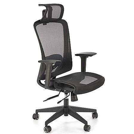 Scaun directorial cu tetiera HM Goliat [1]