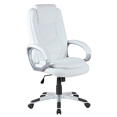 Scaun directorial GN27, piele ecologica, polipropilena, mecanism balans, 95 kg, maro [2]