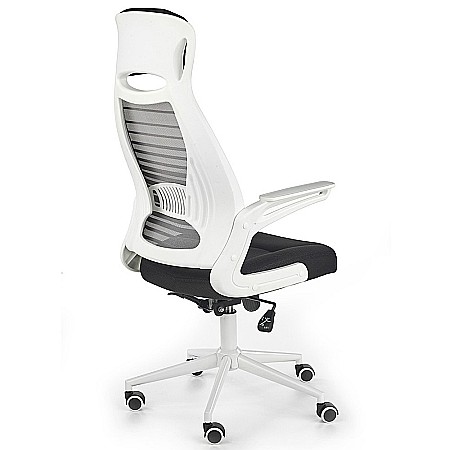 Scaun directorial HM Franklin, Mesh, Ergonomic, Inaltime ajustabila, Mecanism balansare, Mecanism Multiblock, Cu tetiera, 136 kg, 124x60x65 cm, Gri [2]