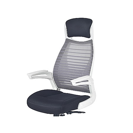 Scaun directorial HM Franklin, Mesh, Ergonomic, Inaltime ajustabila, Mecanism balansare, Mecanism Multiblock, Cu tetiera, 136 kg, 124x60x65 cm, Gri [3]