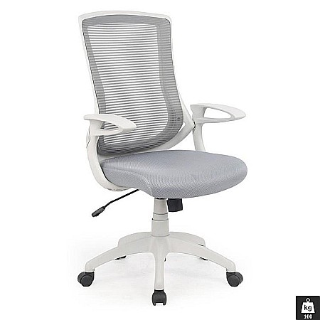 Scaune directoriale - Scaun directorial HM Igor, Ergonomic, Cadru Polipropilena, Tapiterie Mesh, Inaltime ajustabila, 100 kg, 114x66x63 cm, Alb/Gri