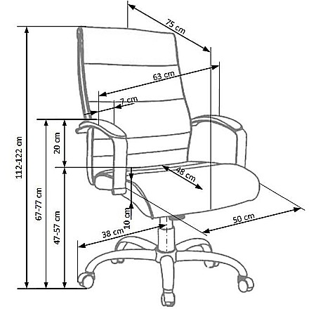 Scaun directorial piele HM Teksas negru [2]