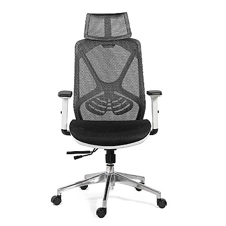 Scaun ergonomic multifunctional SYYT 9503, suport lombar, tetiera reglabila, multiblock, 120 kg [4]