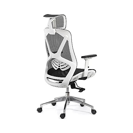 Scaun ergonomic multifunctional SYYT 9503, suport lombar, tetiera reglabila, multiblock, 120 kg [3]