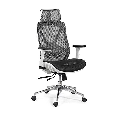 Scaun ergonomic multifunctional SYYT 9503, suport lombar, tetiera reglabila, multiblock, 120 kg [0]