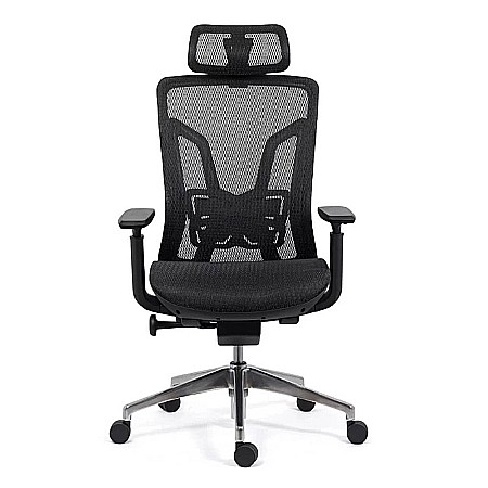 Scaun ergonomic multifunctional SYYT 9506, mesh, suport lombar reglabil, baza metalica, 120 kg [4]