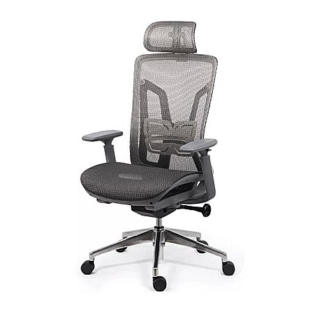 Scaun ergonomic multifunctional SYYT 9506, mesh, suport lombar reglabil, baza metalica, 120 kg [0]