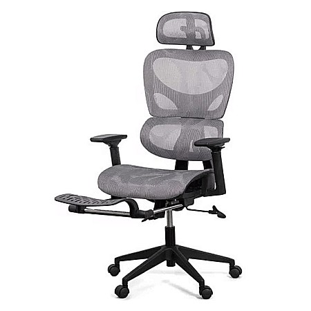 Scaun ergonomic multifunctional SYYT 9508, mesh, suport lombar, tetiera, spatar si brate reglabile, suport picioare, 120 kg [1]