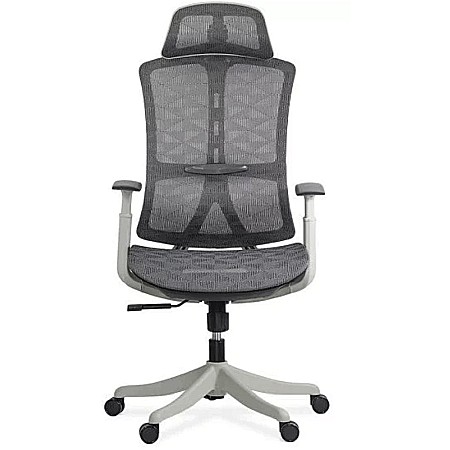 Scaun ergonomic multifunctional SYYT 9511 [3]