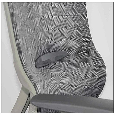 Scaun ergonomic multifunctional SYYT 9511 [4]