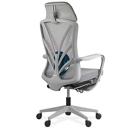 Scaun ergonomic multifunctional SYYT 9512 [2]