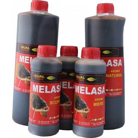 Melasa