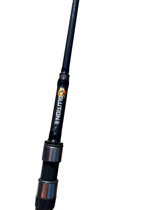 Lanseta EVOLUTION CARP, 3M, Dual Fish [4]