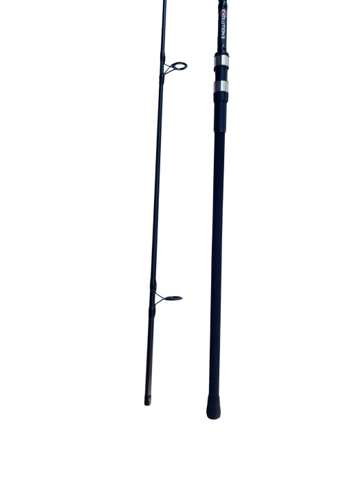 Lanseta EVOLUTION CARP, 3M, Dual Fish [2]