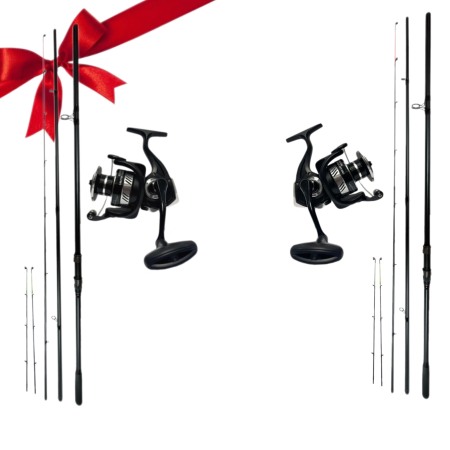 Pachete de primavara - Pachet de primavara cu 2 lansete si 2 mulinete + transport GRATUIT, Dual Fish