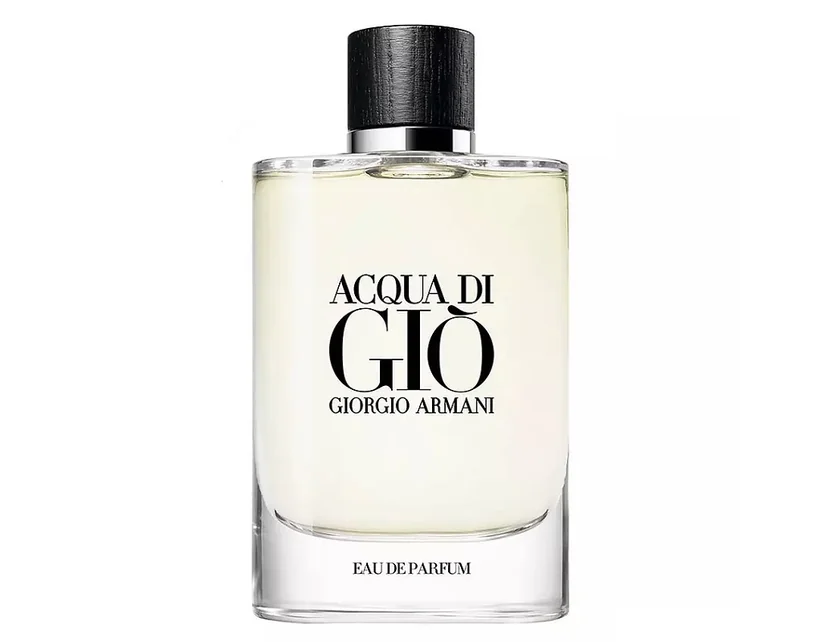 BARBATI - Armani (Giorgio Armani) Acqua di Gio Pour Homme EDP M 100 ml Refillable