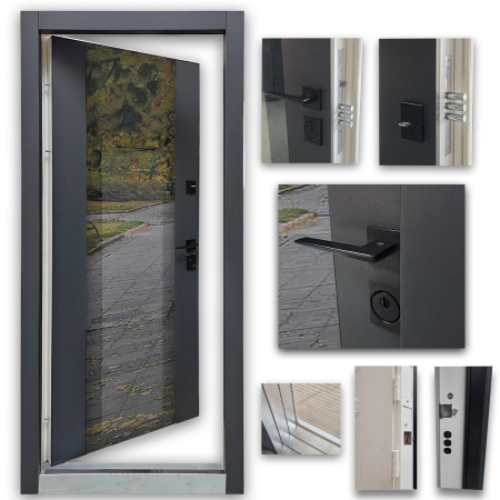 Usa premium de intrare Duxu Panorama cu sticla tripan [1]