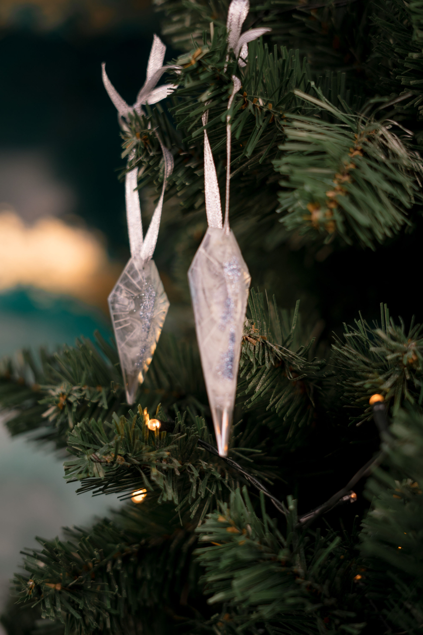 Regatul de Cristal [4]