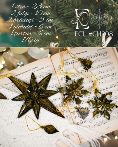 ❄️ Christmas Edition 2025 - Black Luxury