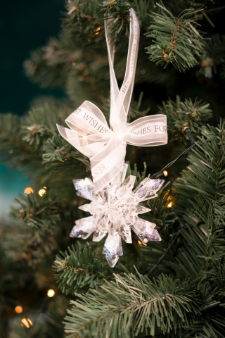 Regatul de Cristal [2]