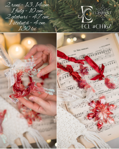 ❄️ Christmas Edition 2025 - Vis Rubiniu