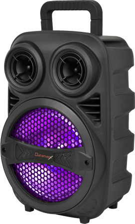 TV & Multimedia - A_1646 Boxa CX08-10P Karaoke 8" 30W cu microfon