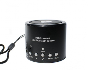 TV & Multimedia - Boxa Bluetooth USB/TF/FM Radio WS-Q9