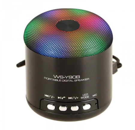 Boxe Portabile - Boxa Bluetooth USB/TF/FM Radio WS-Y90B