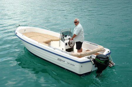 Ambarcatiuni - POSEIDON FISH 5.50 T