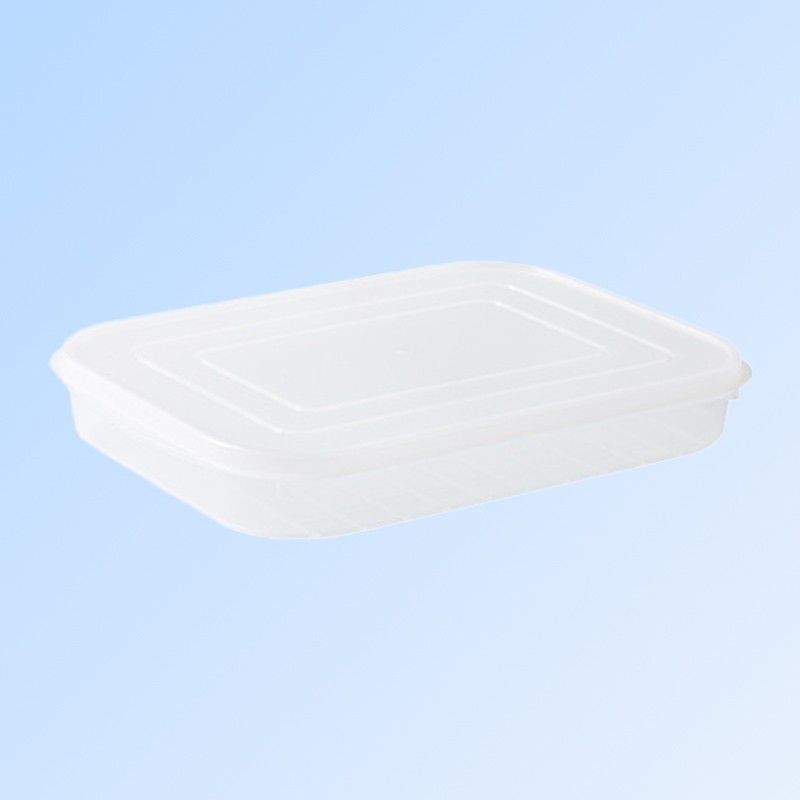Organizatoare si Depozitare Bucatarie - Cutie de depozitare de uz casnic, Caserola pentru Frigider, Rezistenta la umiditate, Rezervor Sigilat pentru Depozitare Alimentara, 24.5 x 18.5 x 3.5cm, Alb Transparent