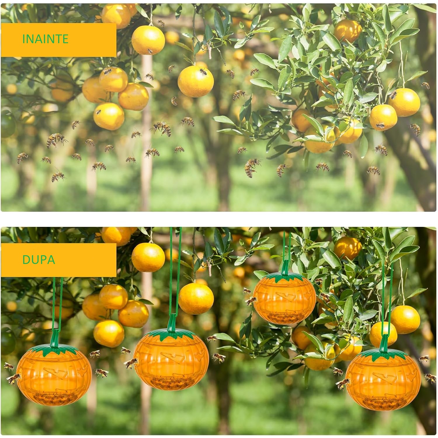 Set 2 Capcane pentru Insecte, Forma de Dovleac, 12x9.2x12.2 cm, din ABS, Portocaliu [3]