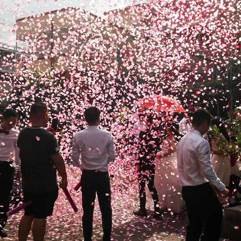 Tun Confetti, Best Wishes, Confetti Inimioare si Paiete, 60 x 5 cm, Roz Auriu [3]