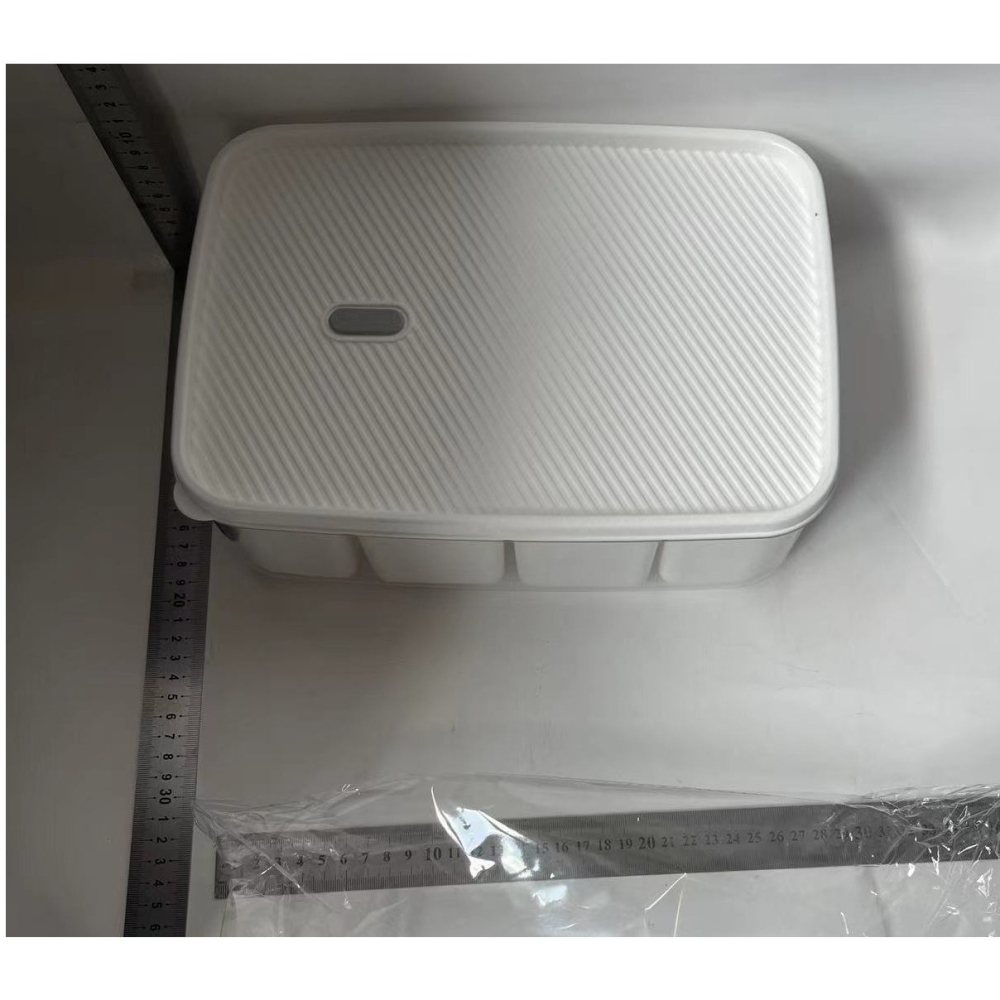 Cutie pentru Depozitare Alimente, 8 Compartimente cu Capac, Material PET+PP, 29 x 20 x 9 cm, Alb/Transparent [13]