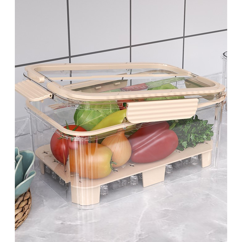 Cutie pentru Depozitare Alimente, de Uz Casnic, 2 Compartimente, Zona pentru Gheata, Mentinere Fresh, cu Maner, Material PET, 23x15x10.8 cm, Bej [11]