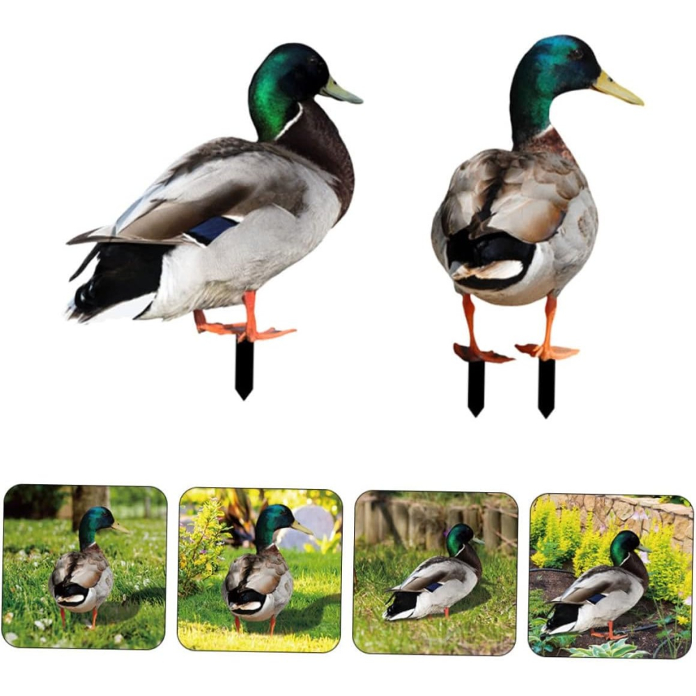 Set 2 Decoratiuni de Gradina, Model Rata, Tip Placa, Grosime 3 mm, Fata-Verso, Multicolor [3]