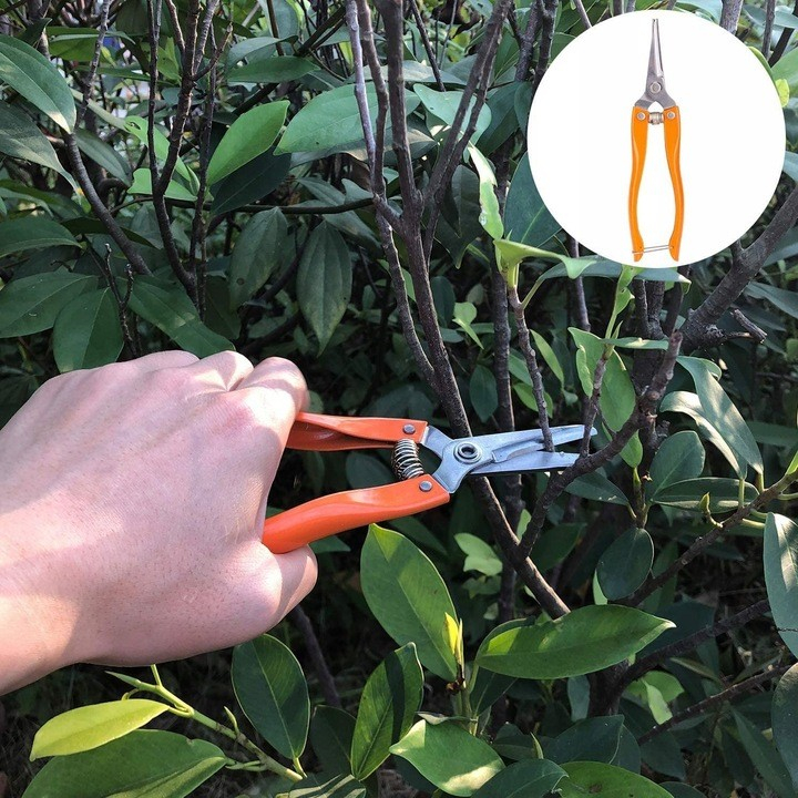 Set 12 Unelte de Gradina, pentru Plantare Prelucrare Sol si Ingrijire Plante, Manere Portocalii, Material PVC si Cardboard, Cutie Inclusa, 37x28 cm, Negru [3]