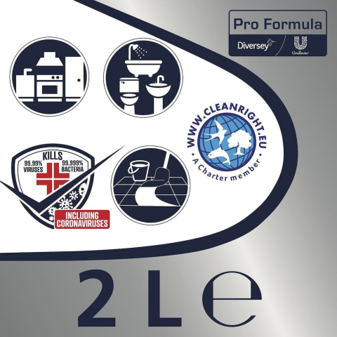 Domestos Professional Pine Fresh - Detergent Lichid Dezinfectant, 2 L [2]