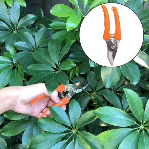 Set 12 Unelte de Gradina, pentru Plantare Prelucrare Sol si Ingrijire Plante, Manere Portocalii, Material PVC si Cardboard, Cutie Inclusa, 37x28 cm, Negru [1]